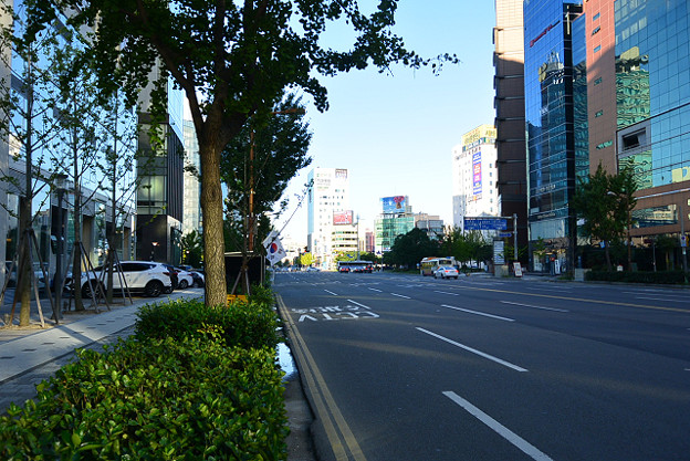 resize12990 写真: resize12990