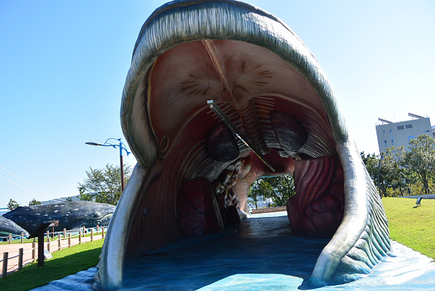 resize13079 写真: resize13079