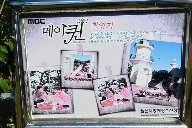 resize13175 写真: resize13175