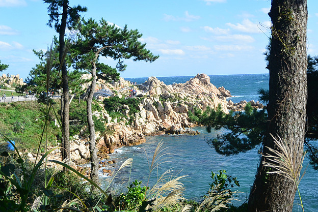 resize13220 写真: resize13220