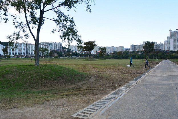 resize13241 写真: resize13241