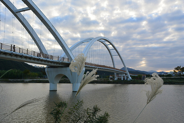 resize13244 写真: resize13244