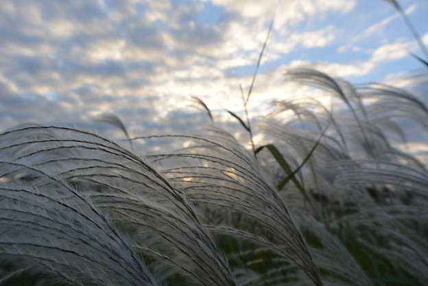 resize13261 写真: resize13261