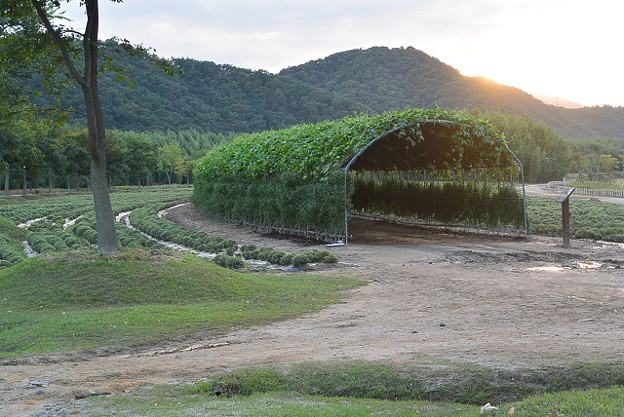 resize13264 写真: resize13264