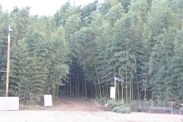 resize13265 写真: resize13265