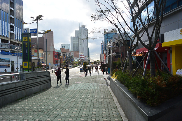 resize13354 写真: resize13354