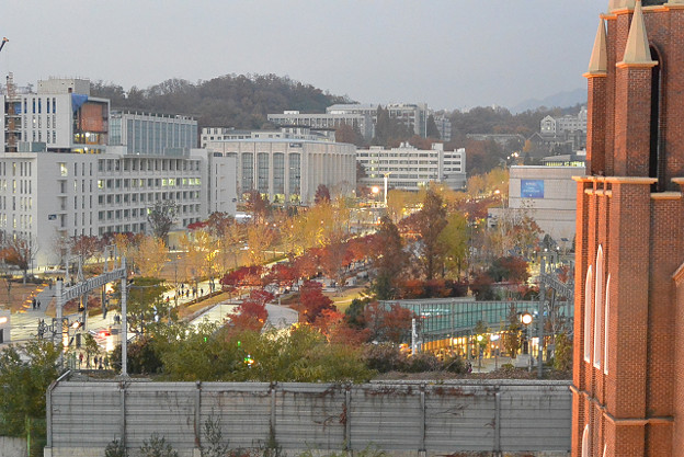 resize13968 写真: resize13968