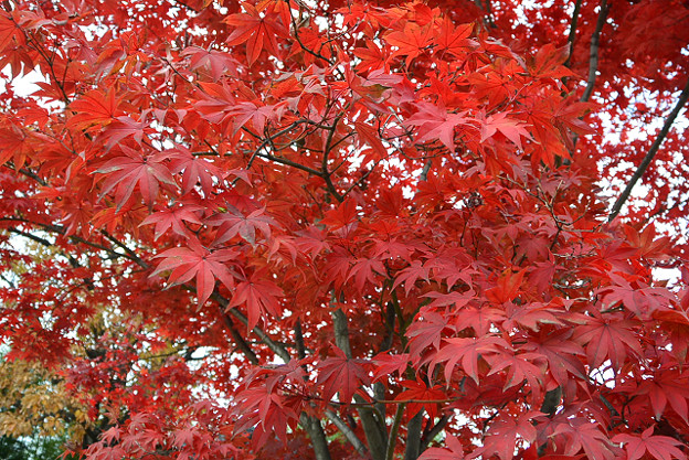 resize13897 写真: resize13897