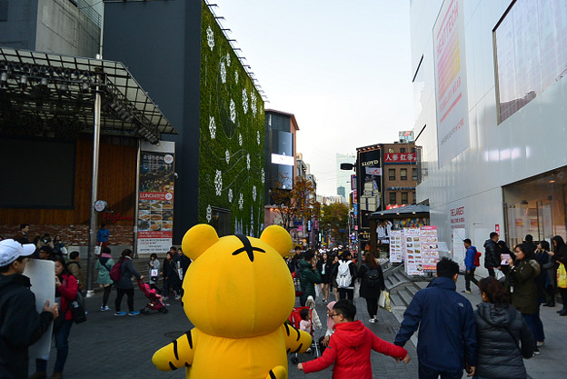 resize13916 写真: resize13916