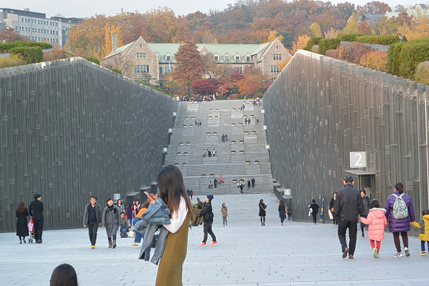 resize13935 写真: resize13935