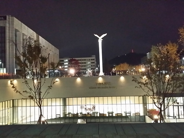 resize14209 写真: resize14209