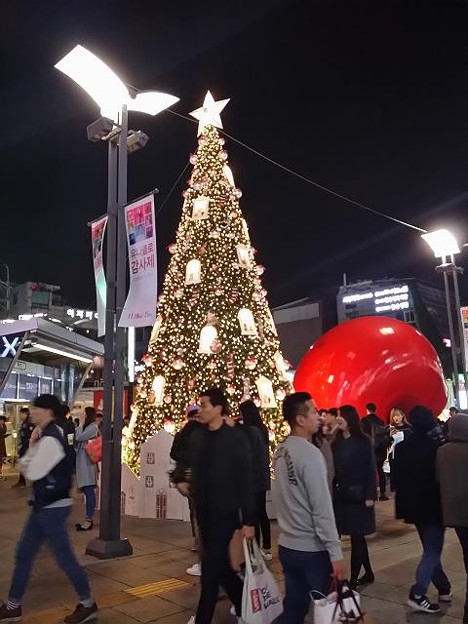 resize14235 写真: resize14235