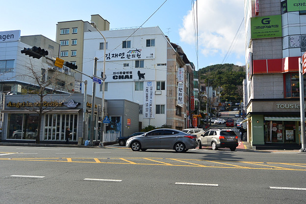 resize14518 写真: resize14518