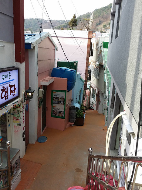 resize14645 写真: resize14645