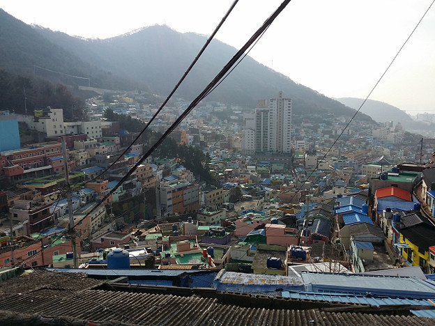 resize14669 写真: resize14669