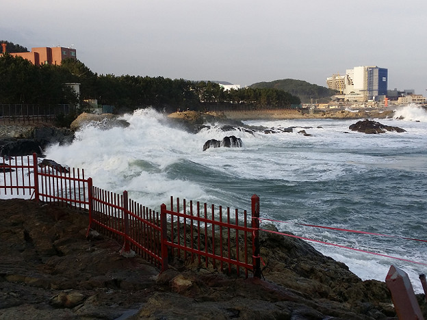 resize14731 写真: resize14731