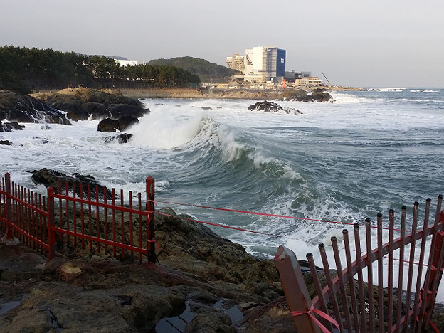 resize14732 写真: resize14732