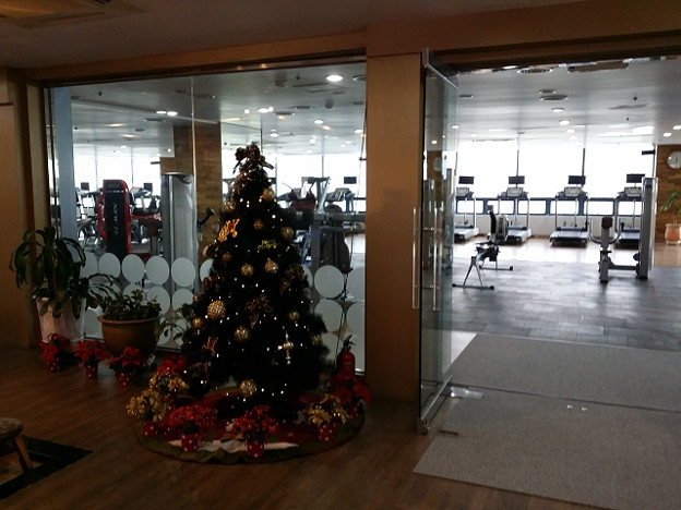 resize14803 写真: resize14803