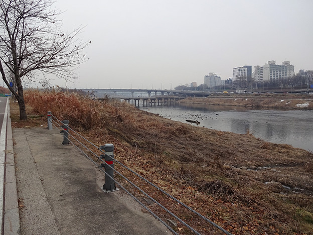 resize15138 写真: resize15138