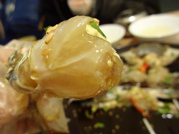 resize15310 写真: resize15310