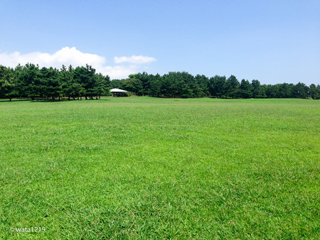 平日の葛西臨海公園2