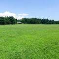Photos: 平日の葛西臨海公園2