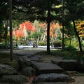 夕暮れの庭園　３