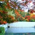 秋の彩～鈴木大拙記念館