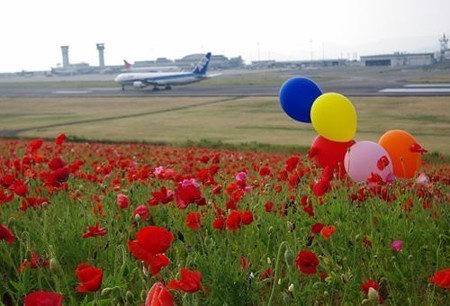 IMGP5107_0603