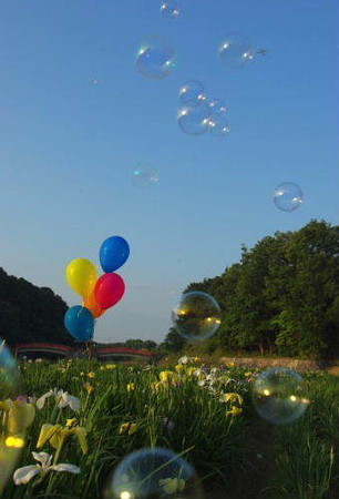 IMGP5214_0603