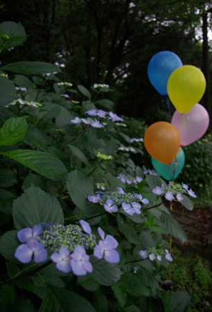 IMGP0270_0617