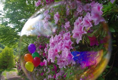 IMGP5807_0511