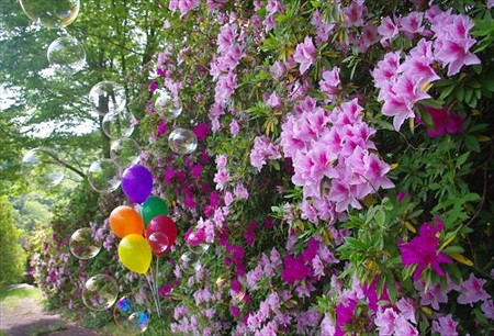IMGP5868_0511