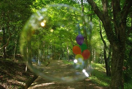 IMGP6017_0511
