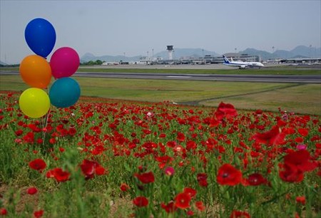 IMGP7150_0517