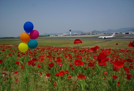IMGP7247_0517