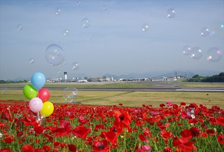 IMGP8122_0524