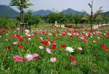 IMGP8203_0524