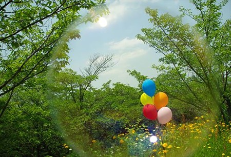 IMGP8515_0525