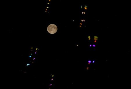 IMGP2627-1_0811