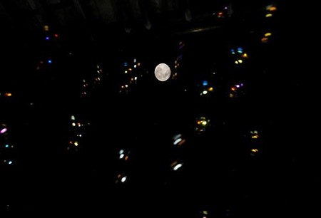 IMGP2641-1_0811