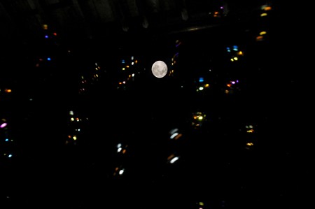 IMGP2641-1