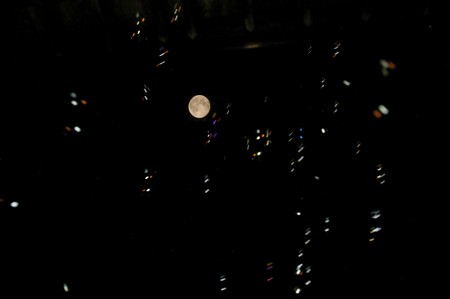 IMGP2647-1