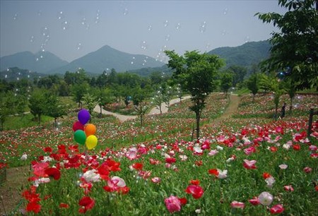 IMGP9268_0531