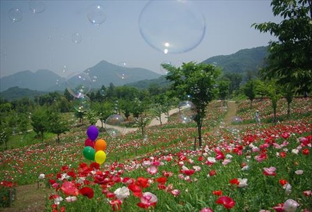 IMGP9294_0531