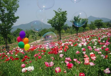 IMGP9380_0531