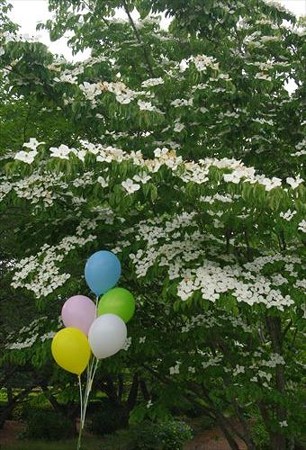 IMGP7157_0601