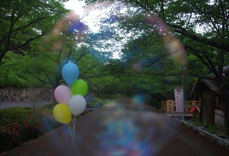 IMGP7330_0601