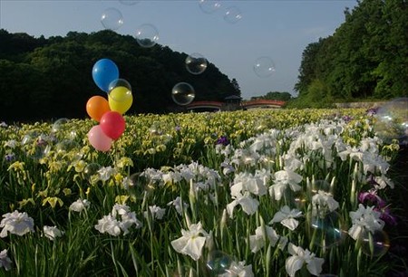 IMGP0014_0607