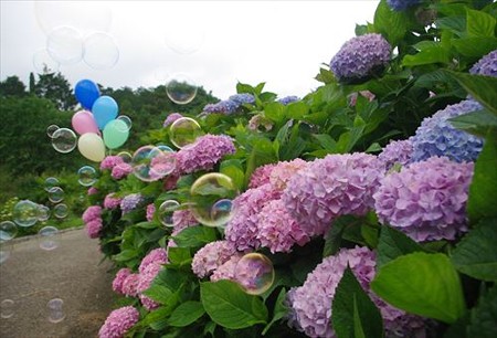 IMGP9596_0608